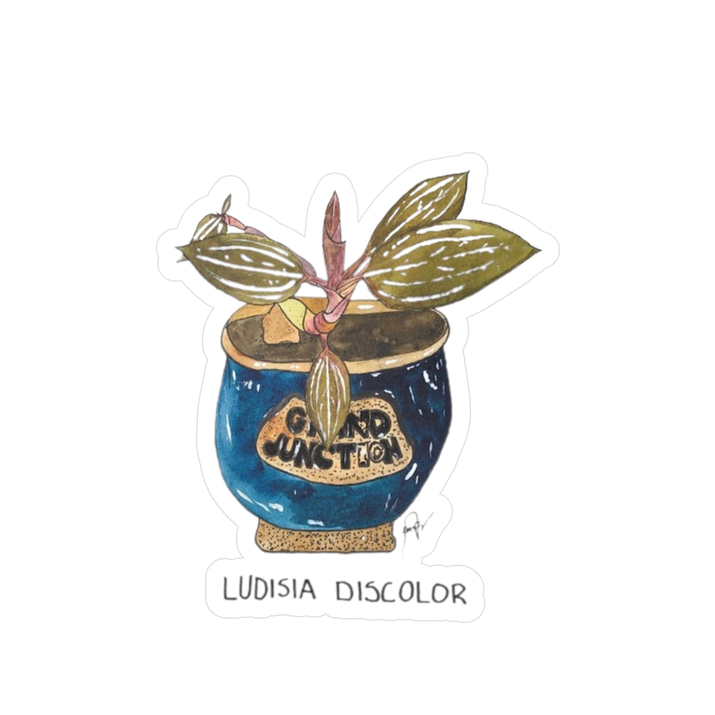 Ludisia Discolor Kiss-Cut Sticker